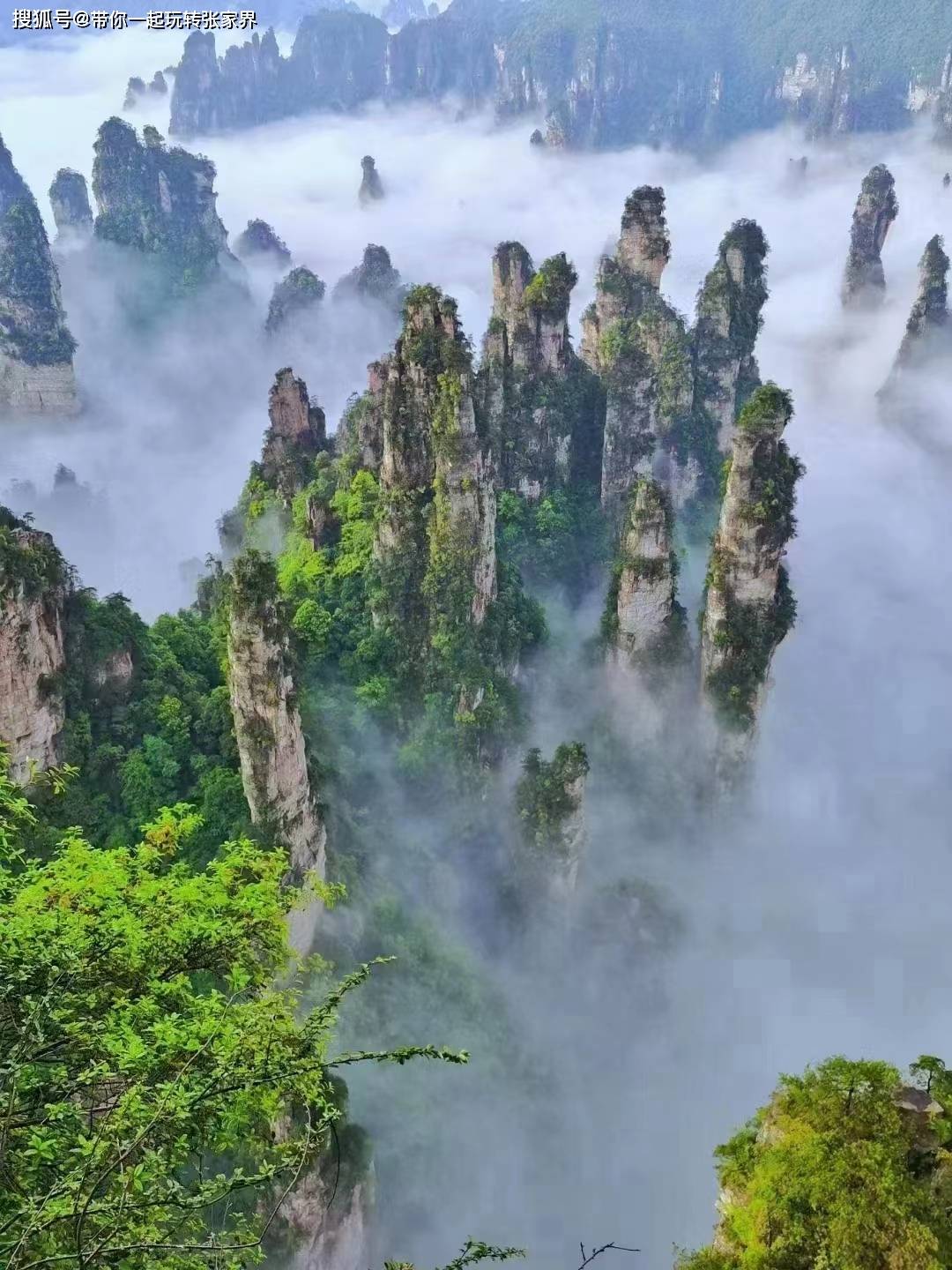 国内景区旅游天花板张家界天门山凤凰古城5日游攻略