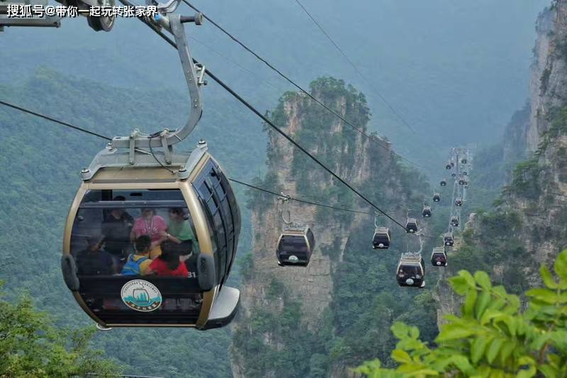 一年一次的家庭旅游季-湖南张家界湘西凤凰古城5日游攻略