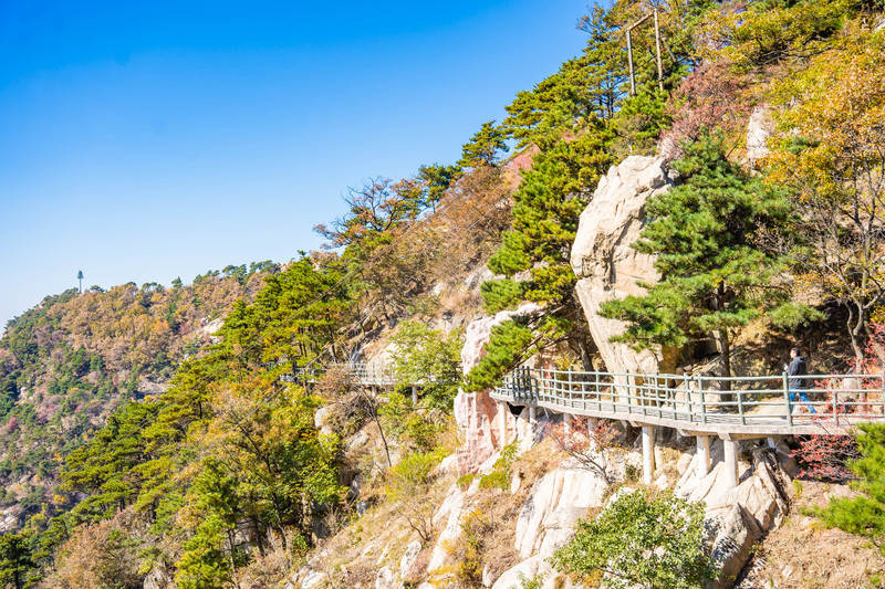 5天4晚山东美食攻略，开启一场味蕾之旅！