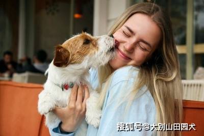 狗狗为什么想舔人脸，三个心理原因：它们看起来很开心、很可爱