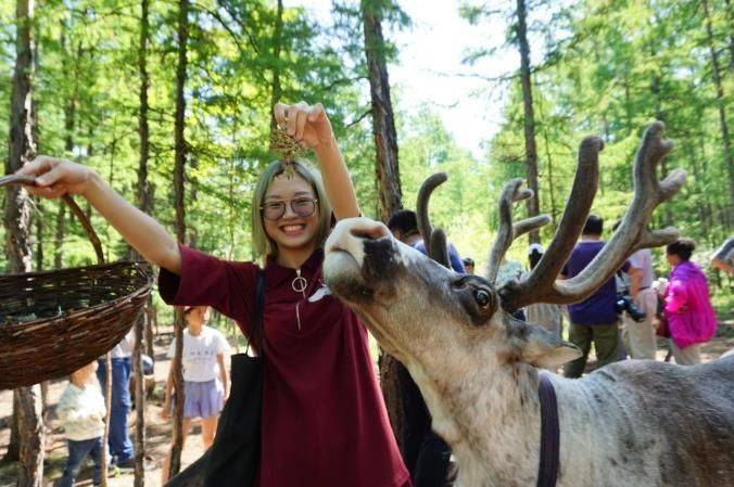 哈尔滨适合什么时候去 哈尔滨的最佳旅游季节 哈尔滨旅游攻略