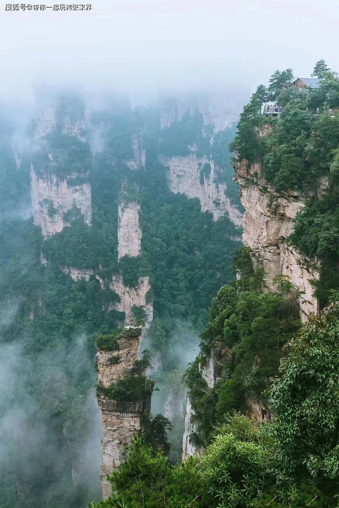 张家界森林公园深度旅游+天门山，凤凰自由行（详细攻略）