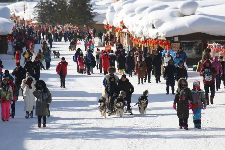 哈尔滨跟团游五天费用 雪乡5天4晚当地跟团价格，哈尔滨旅游攻略