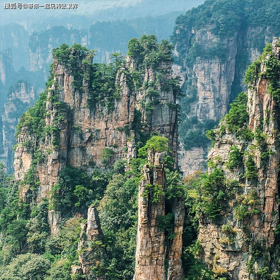 带父母游张家界-纯玩小包团-4天自由行超详细旅游攻略