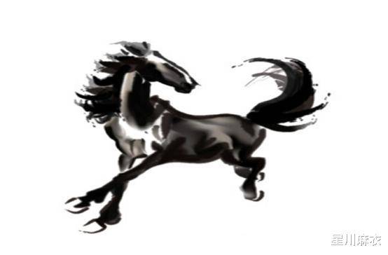 尘随别骑东西急打一个生肖代表什么动物生肖，刚刚揭晓落实