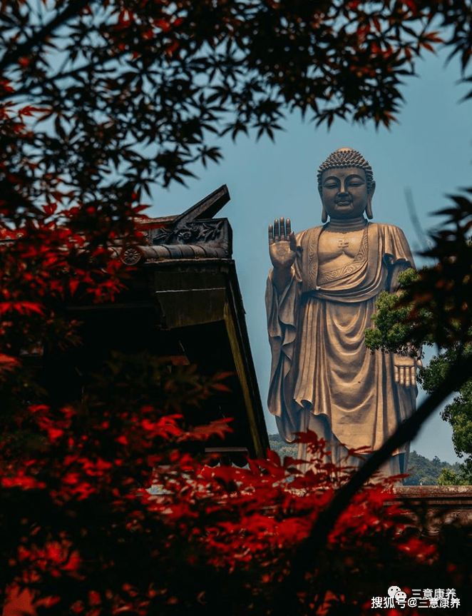 无锡园林式旅居3天2晚339一人包吃住，毗邻太湖度假区