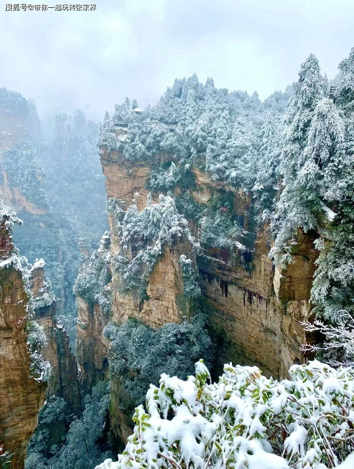 这个冬季看雪景-去张家界凤凰古城游玩5天4晚自由行攻略