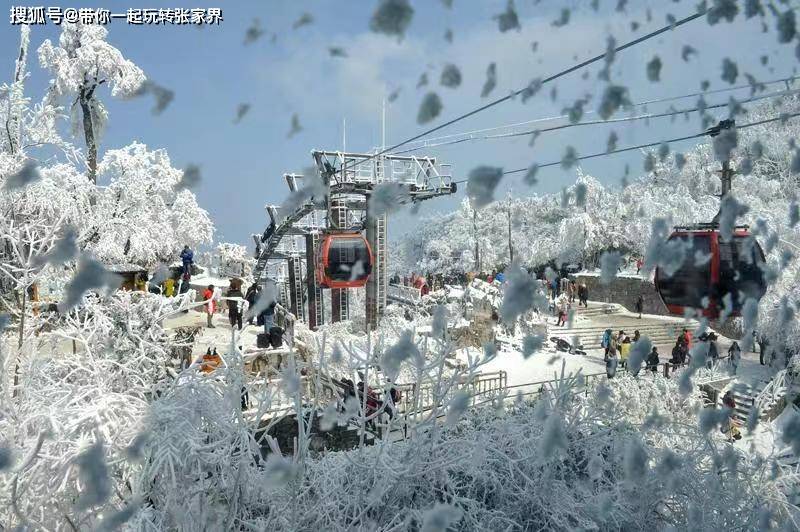 这个冬季看雪景-去张家界凤凰古城游玩5天4晚自由行攻略