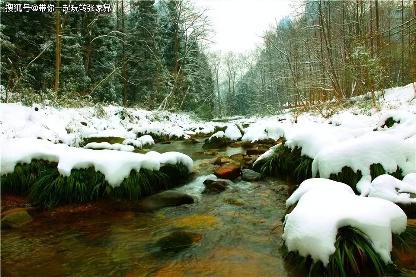 冬天去湖南张家界湘西凤凰古城看雪景吧-玩5天自由行攻略