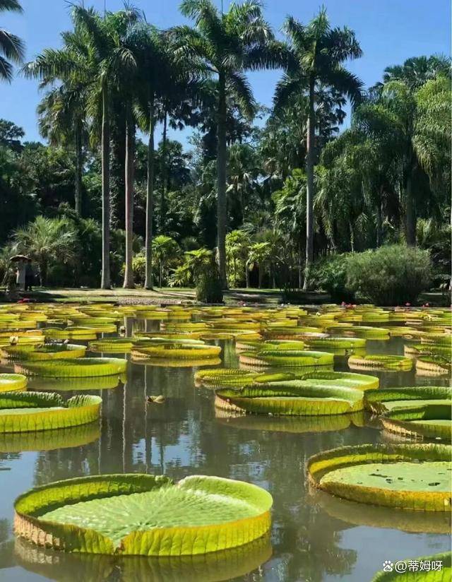 云南旅游攻略五日游，云南旅游超全行程+路线+景点推荐