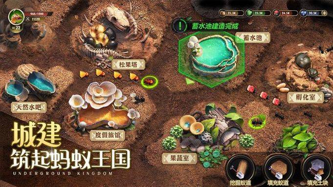 《小小蚁国》无休云手机养成攻略