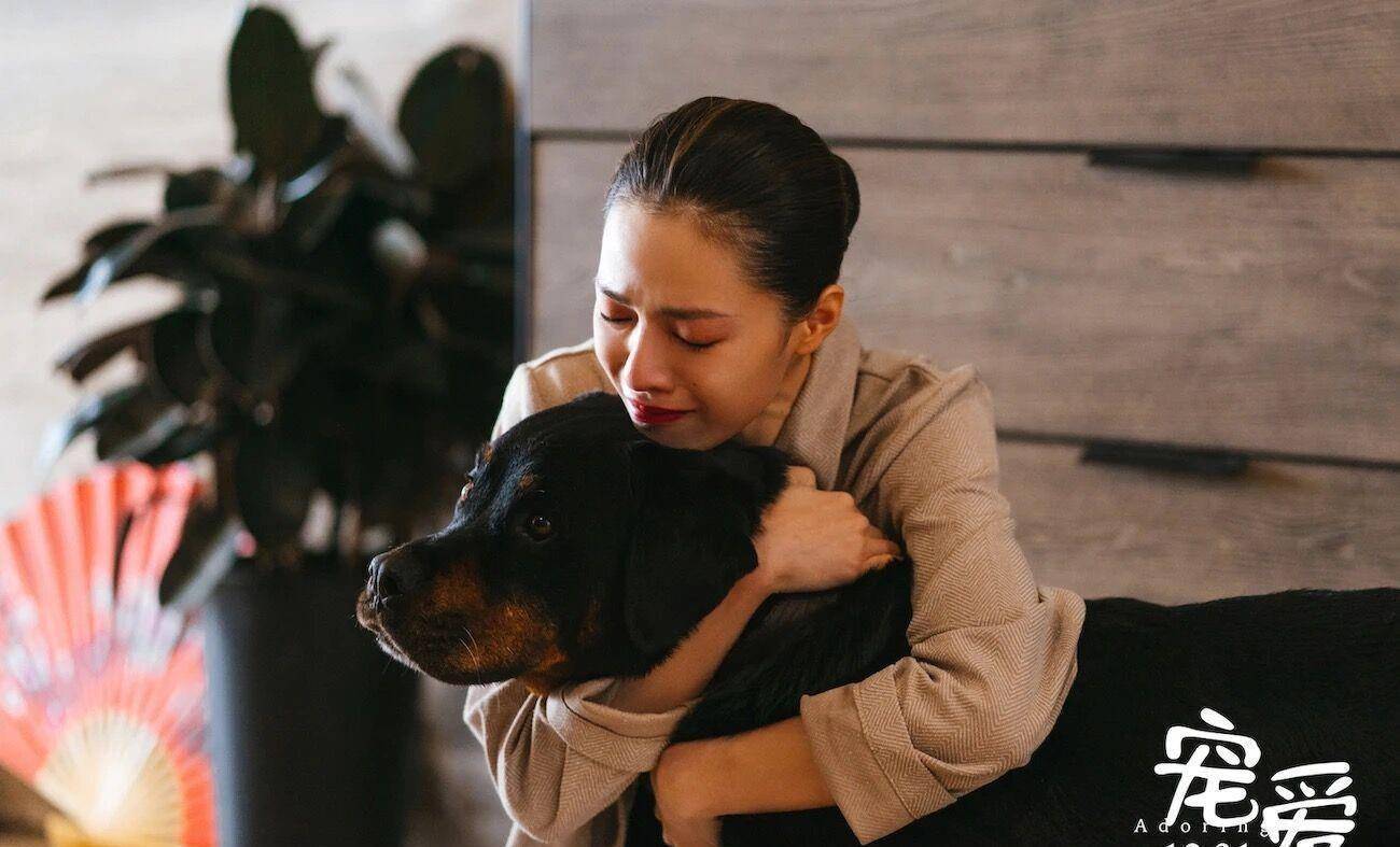 《宠爱》：永远都不会忘记，我的生命里，你来过