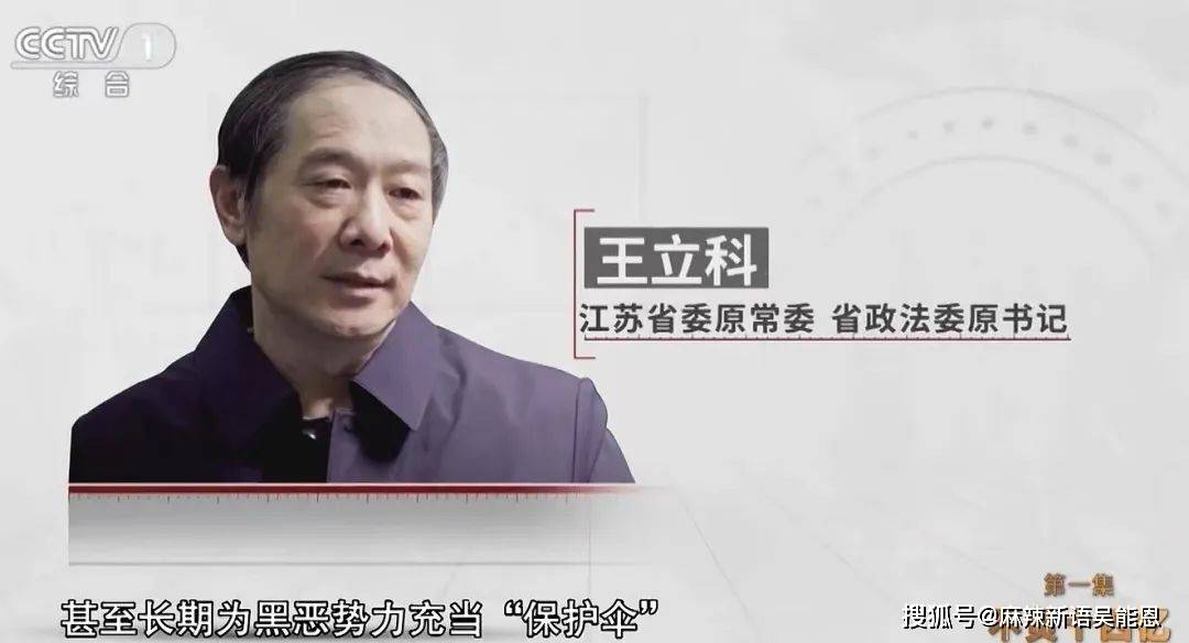原创锦州娄河黑社会团伙覆灭，48 人被判刑，曾向保护伞行贿1.22亿