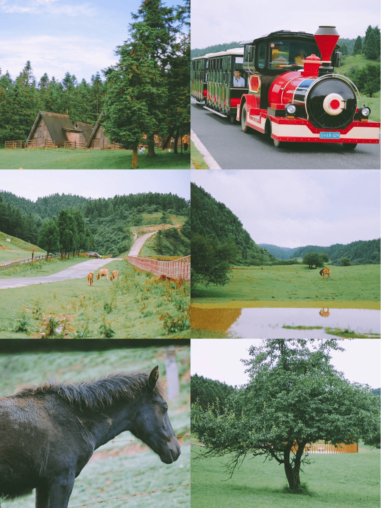 重庆南山自由行4日游旅游攻略，重庆南山纯玩团四天多少钱