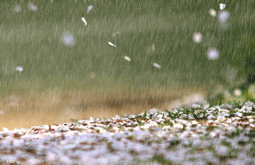 阳光退隐,雨水来袭,降温幅度有点大