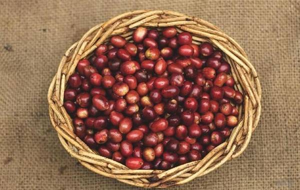 如何快速分辨深豆沙浅豆沙 885b8256233747dc8e80b7d41eacecd5.jpeg