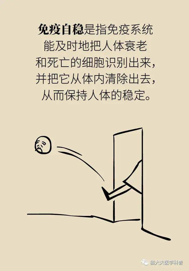 1cfa703675204f288d7230d244cda5af.jpeg