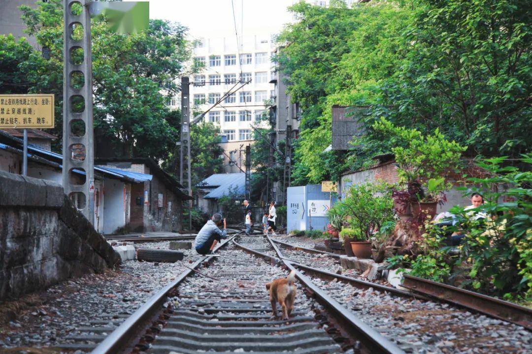 铁路四村距离四川美院,黄桷坪涂鸦一条街很近,可以一路打卡过去.