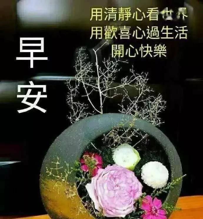 俏皮的早上好问候语,早安唯美的图片表情