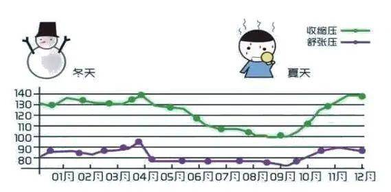 人体1天的血压波动像一根