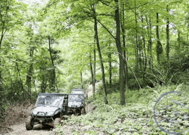 享受着英氏贵族般的待遇 你绝对不能错过  爱丽芬山地越野机车 唐家坞