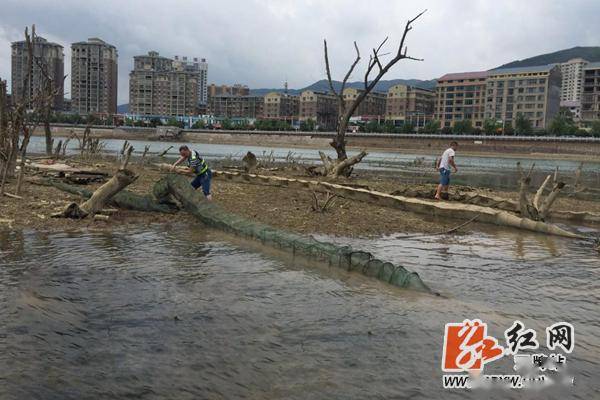 双牌县人口_永州市双牌县的照片(2)