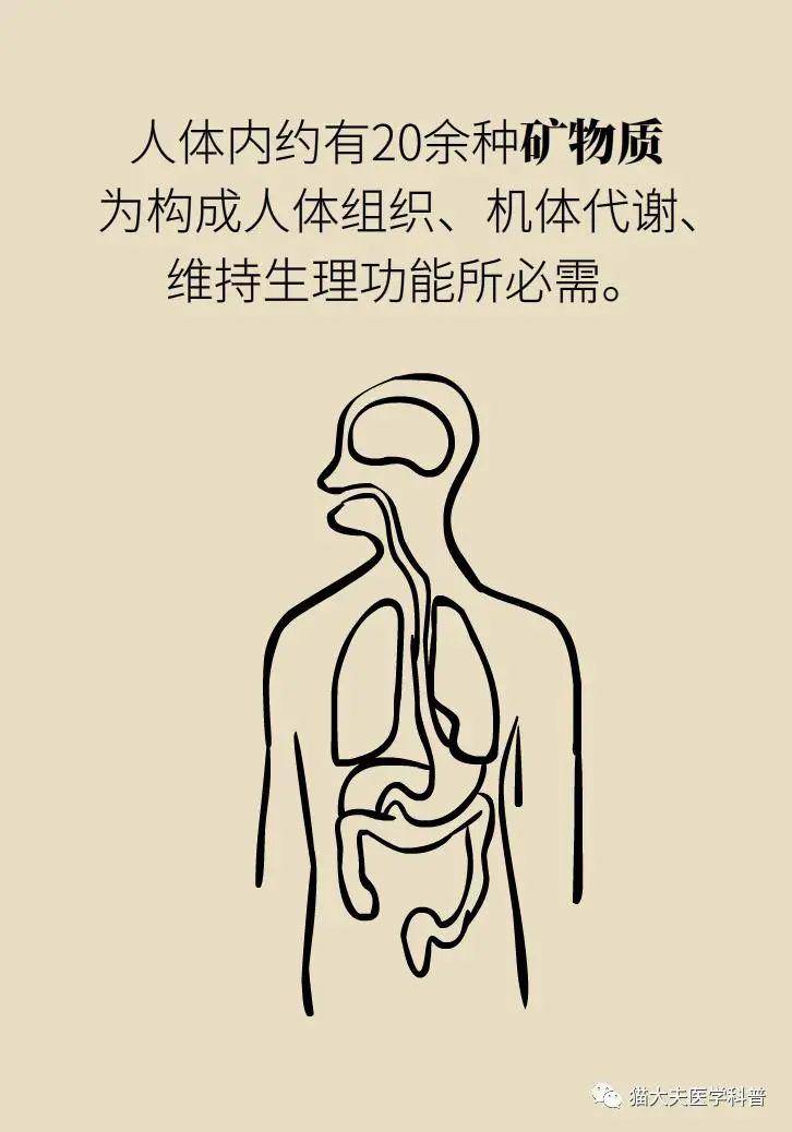 96e22d9985674a3daf48e6cb14828d99.jpeg