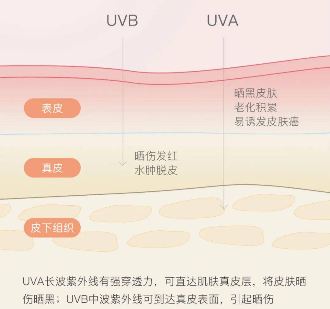 「宝宝」孩子晒伤的几率是成人的3倍！防晒这件事再不做就晚了