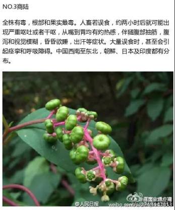 #孩子#一人陷入昏迷！原因让人后怕警惕！4个男孩路边呕吐