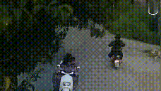 大爷将狗一脚踹飞后,大多网友反倒拍手叫好,只因该狗主