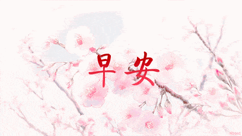 早上好暖心问候,漂亮图片鲜花带字 早安祝福语美图