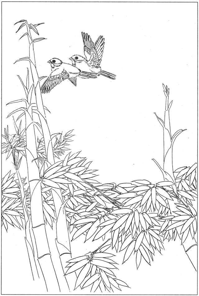 竹之高雅,即心之高雅,高清白描竹子图