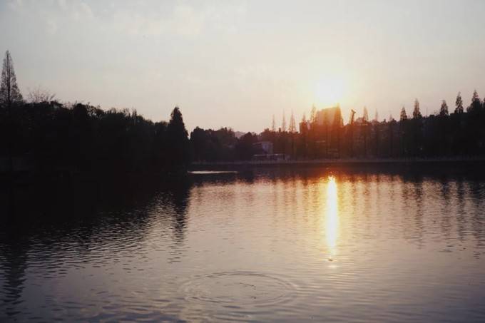47da2a0829434a4b80e3e21ddd232d84.jpeg