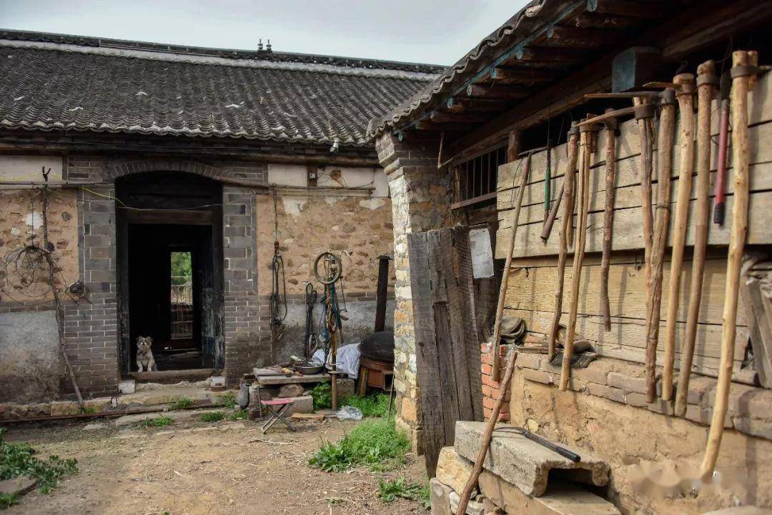 东旧寨人口_人口普查(2)