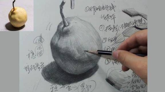 美院素描老师画的"梨"层次步骤清晰可见