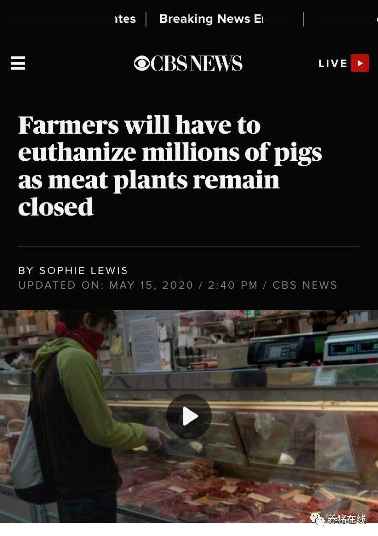 美国卖东西的平台 47c3e8804c6544a8bcb811c659c7511d.jpeg