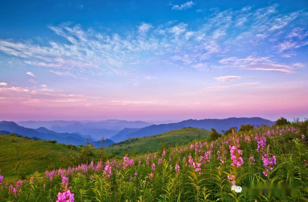 【2日游259元】5月27日秘境巴山 神田草原2日游_岚皋