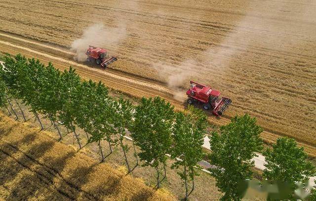 襄州区2020年gdp_近十年中国gdp数据图(3)