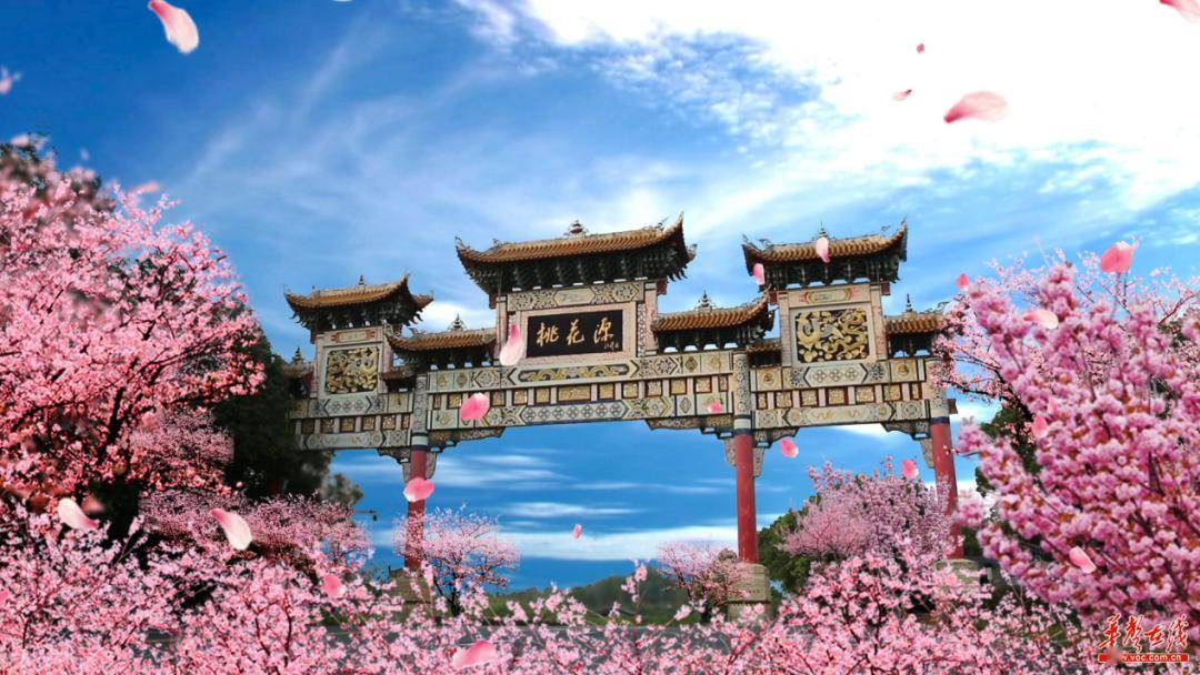桃花源景区凤凰古城(以上图片均由主办方提供)活动历时7个月,经过启动