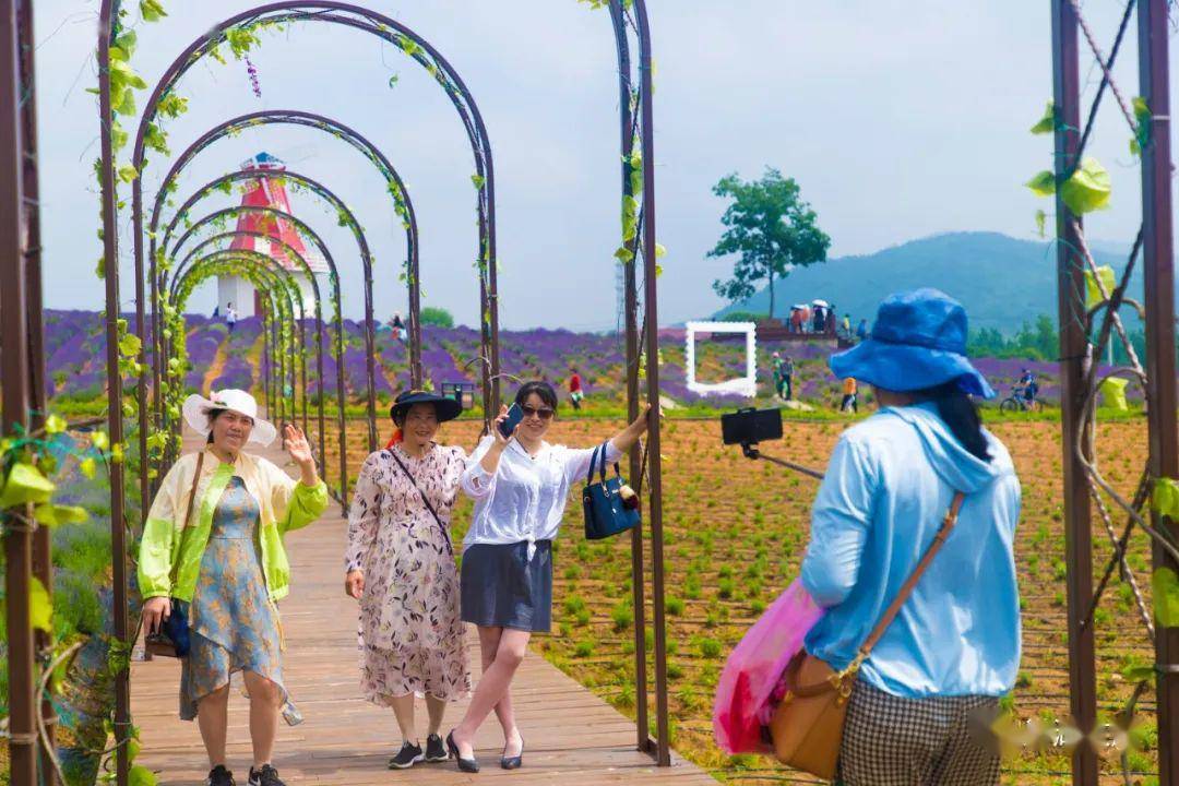 五月初夏,遇见尖山湖逸趣园醉美风光!