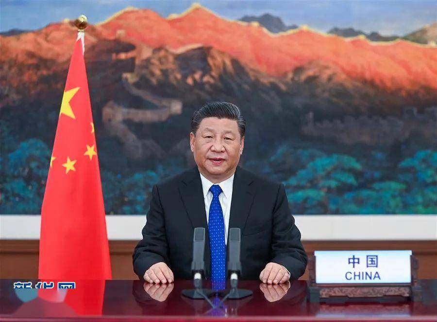 中国推进全球抗疫合作五大举措