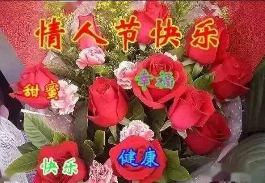 今天情人节520玫瑰送给群里朋友祝你们情人节快乐永远健康幸福
