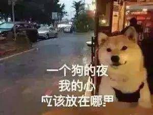3eaff9b84e1f473cb7f4b905320ee9ea.jpeg
