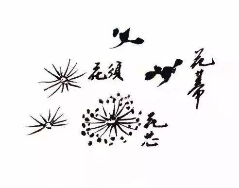 枝布什么成语_成语故事简笔画