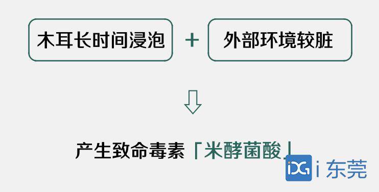 #黑木耳#送医抢救无效身亡！这样的木耳千万别吃....，女子吃了黑木耳后中毒