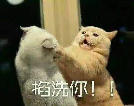 ca703a6fac224bb4a3c92269ca0f7570.jpeg