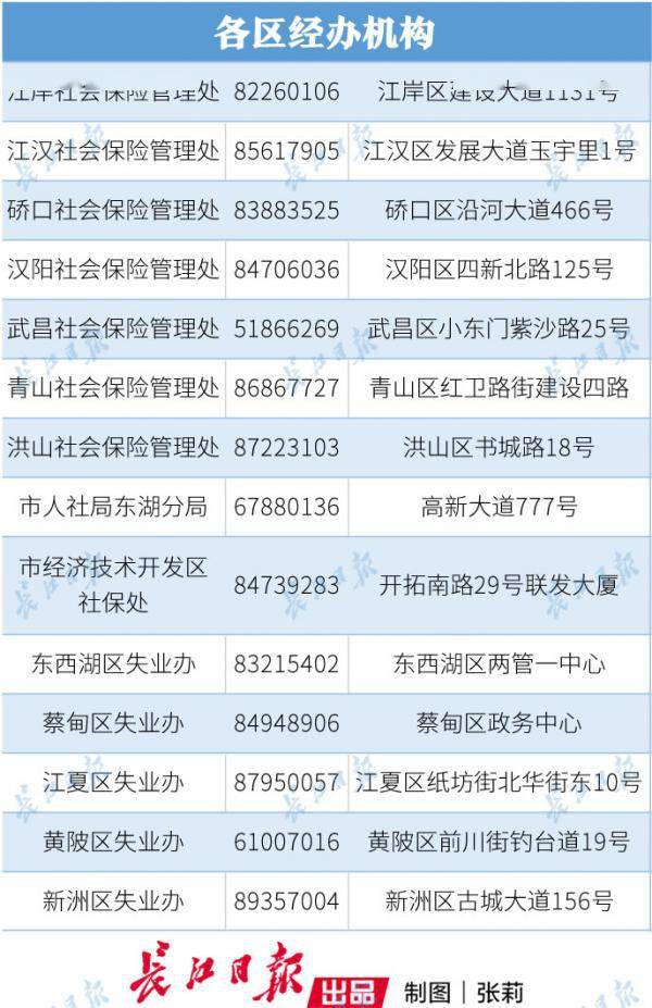 武汉2019人口普查结果_武汉人口分布图(3)