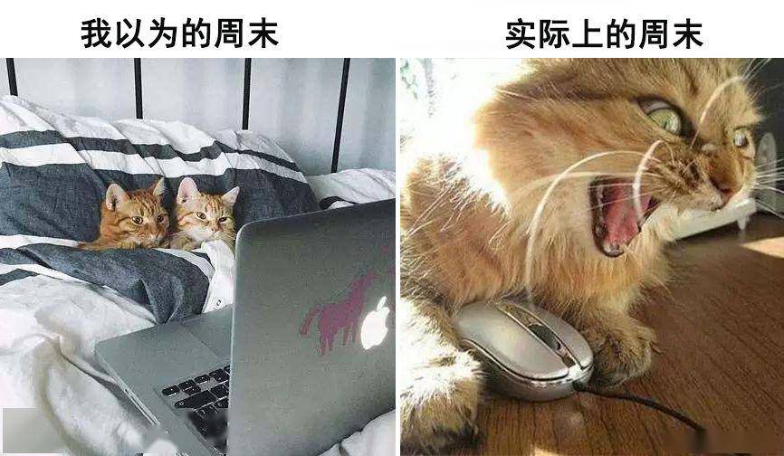 我以为的周末 vs 实际上的周末