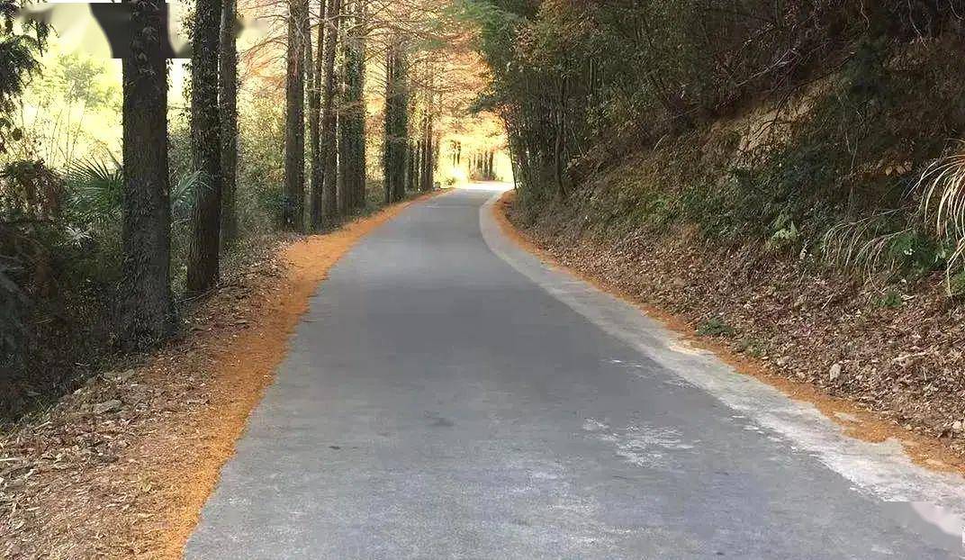 泾县4条公路入围十大最美乡村路最聚财气的路居然在这里