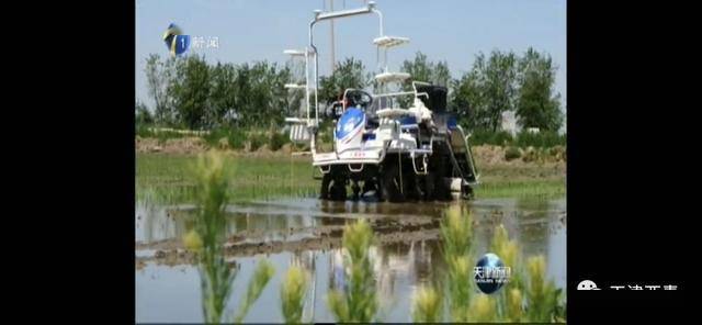 天津市王稳庄镇GDP_天津市西青区王稳庄镇